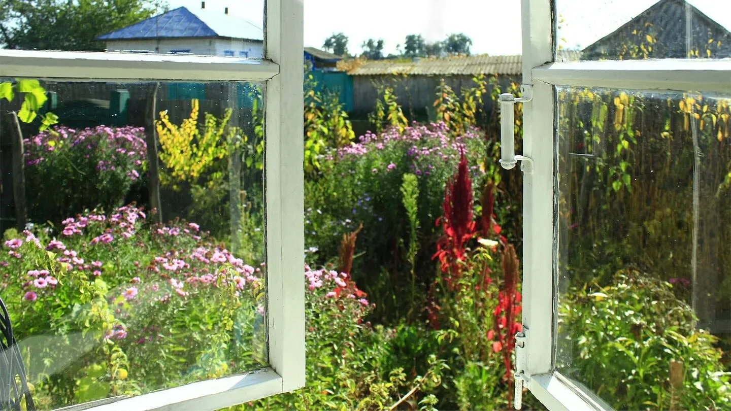 windows open during the spring, which can affect people with allergies