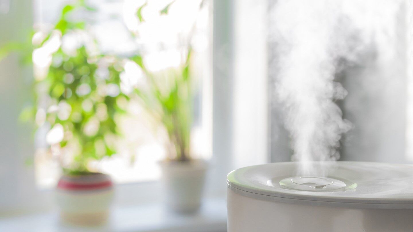 a humidifier which can worsen allergy symptoms