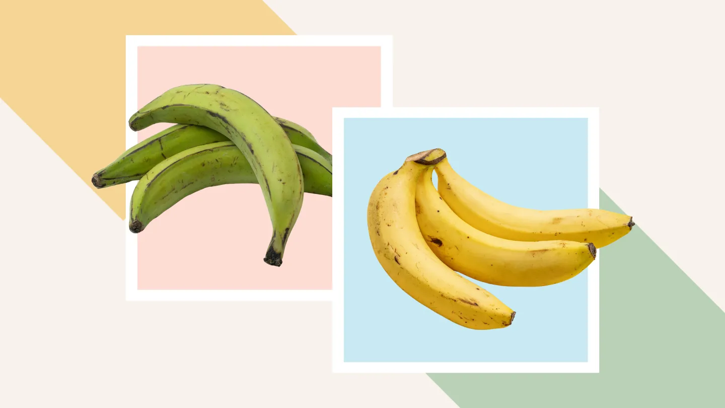 banana and plantain
