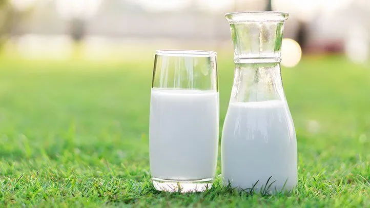 warm milk