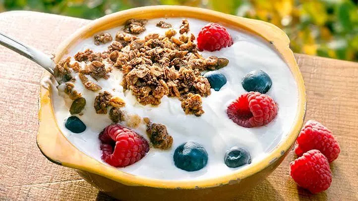 yogurt containing probiotics