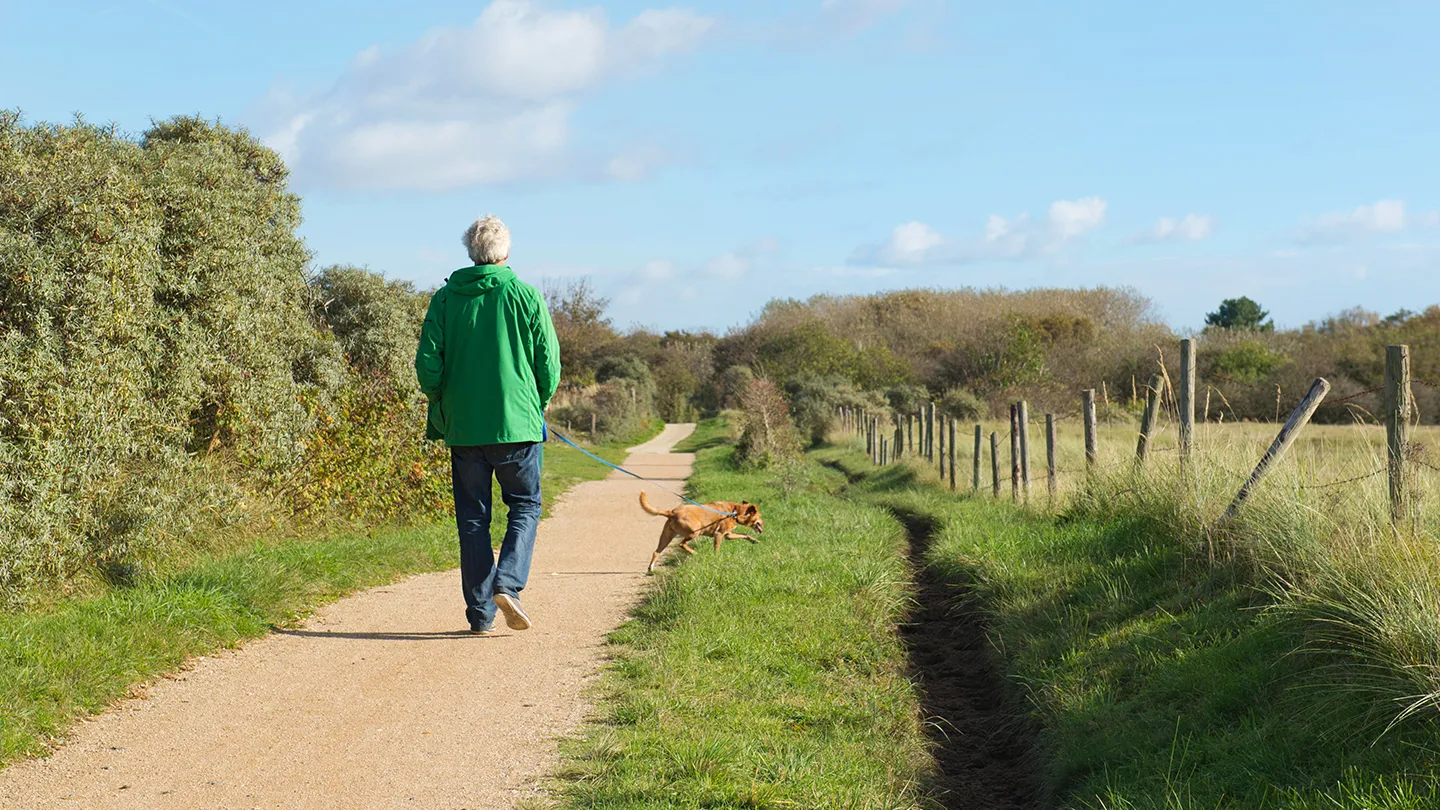 senior man walking dog outdoors