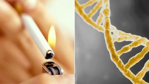 Cancer Risk Factors