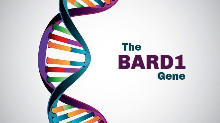 BARD1 gene