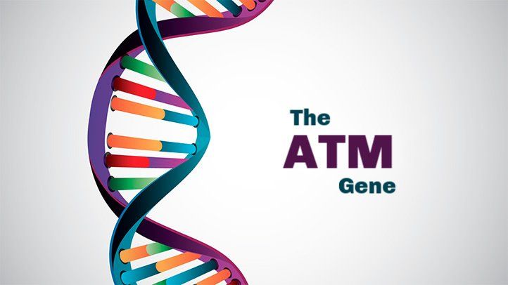ATM gene