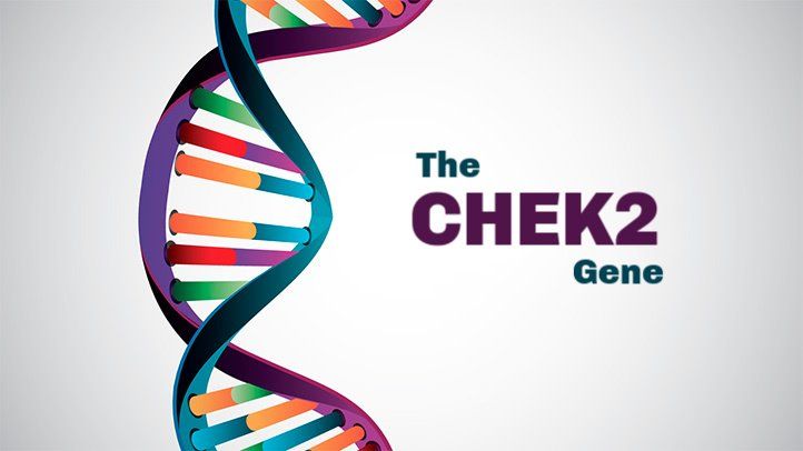 chek2 cancer risk gene