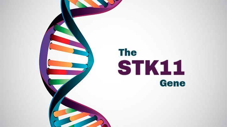 STK11 gene