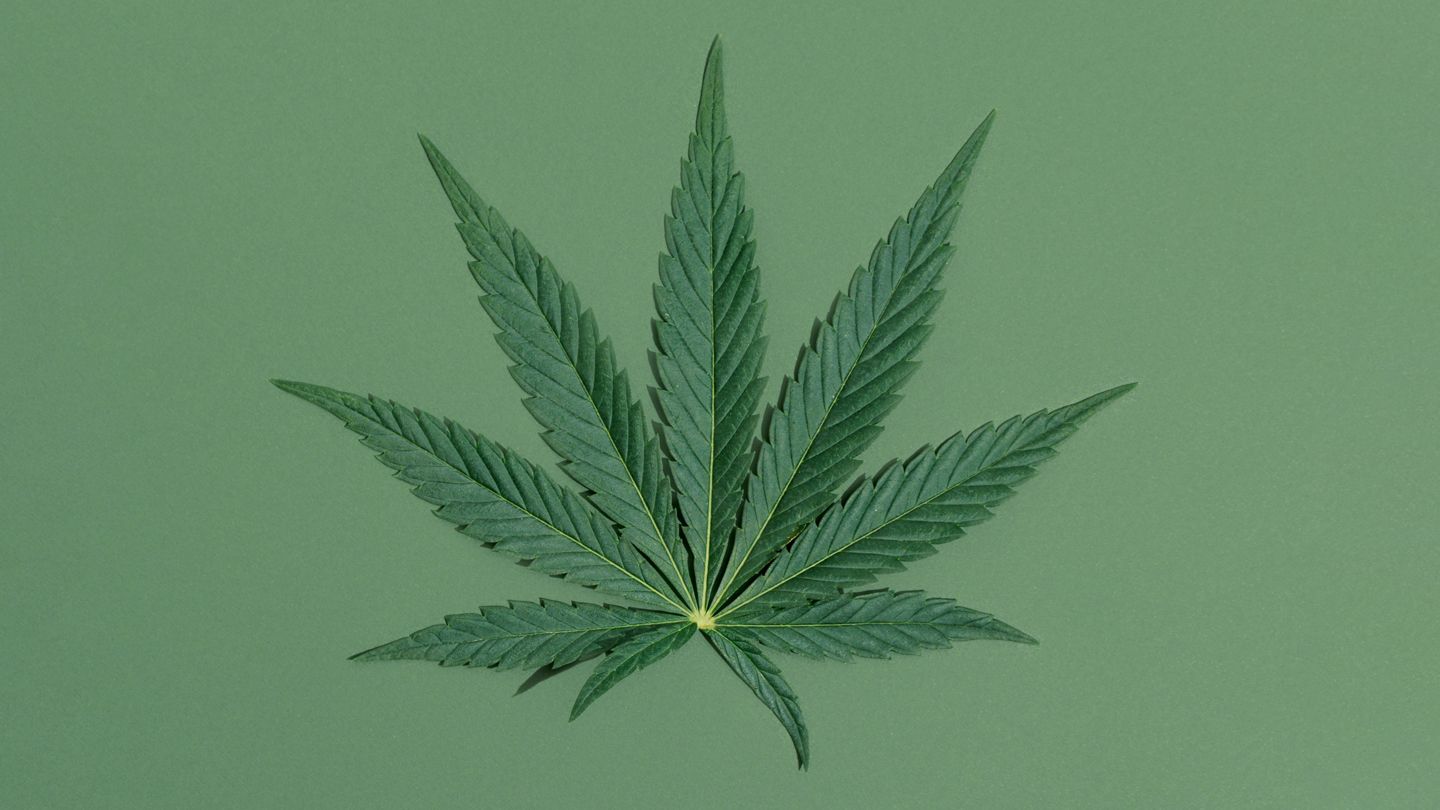 Cannabis leaf