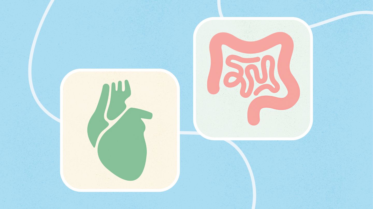 human heart and intestines icons