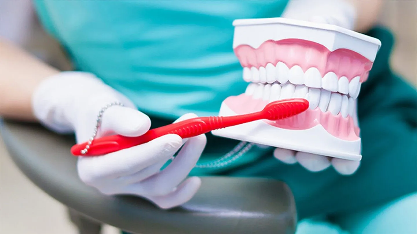 a dentist showing the proper way to brush teeth