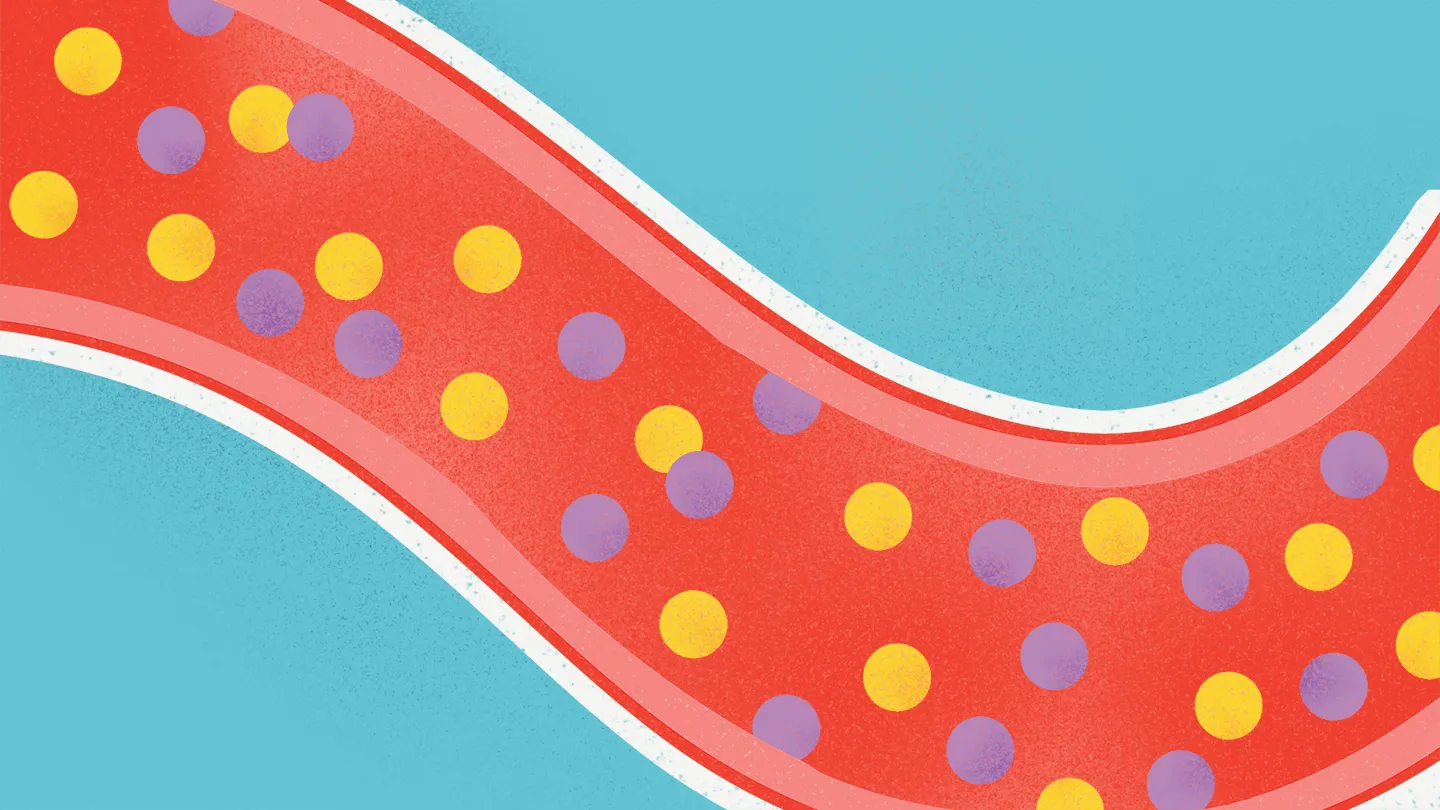 illustration of triglycerides and cholesterol