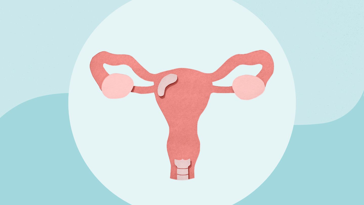 paper cutout of a uterus and ovaries
