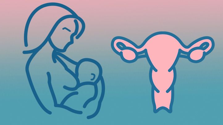 lower risk of early menopause among women who had at least one pregnancy lasting at least six months and among those who had breastfed their infants