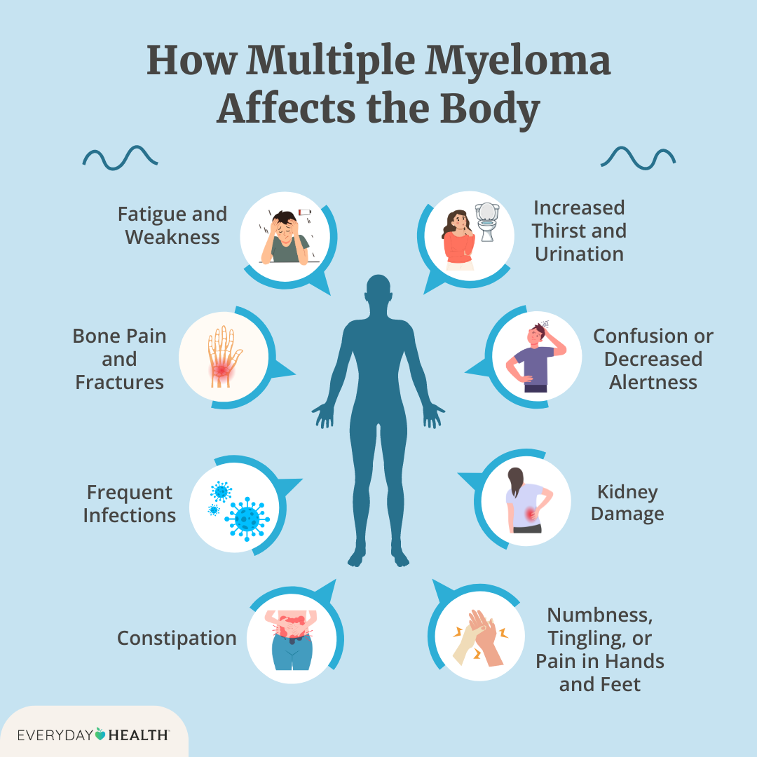 Illustrative graphic titled How Multiple Myeloma Affects the Body shows fatigue, bone pain, frequent infections, constipation, numbness in hands/ feet, kidney damage, confused, increased thirst/urination. Everyday Health logo at bottom left