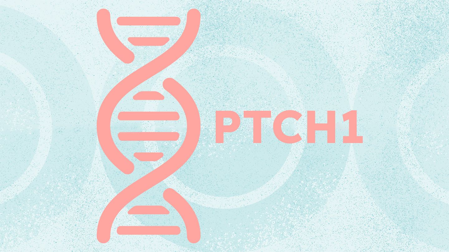 illustration shape of DNA next to PTCH1 ptch1 gene