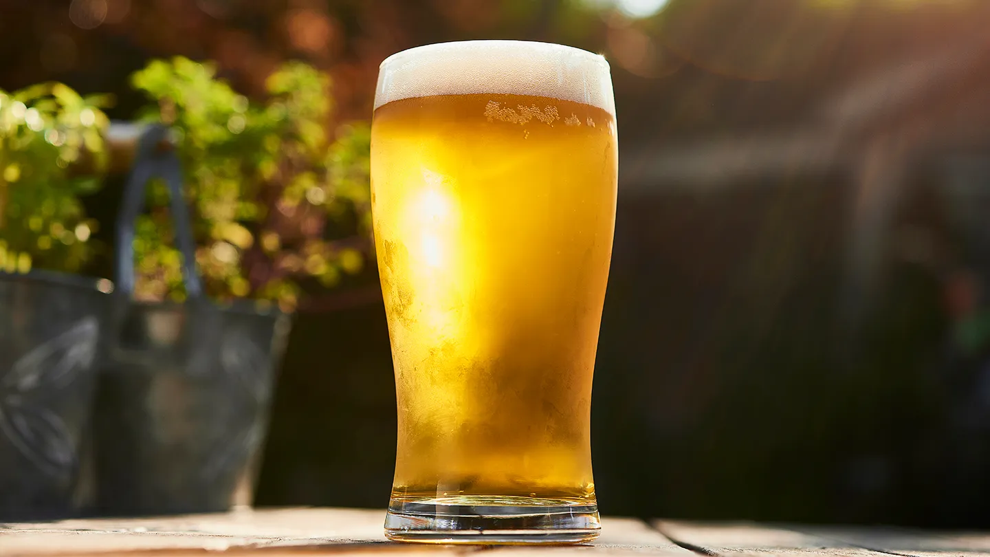 beer in the sun