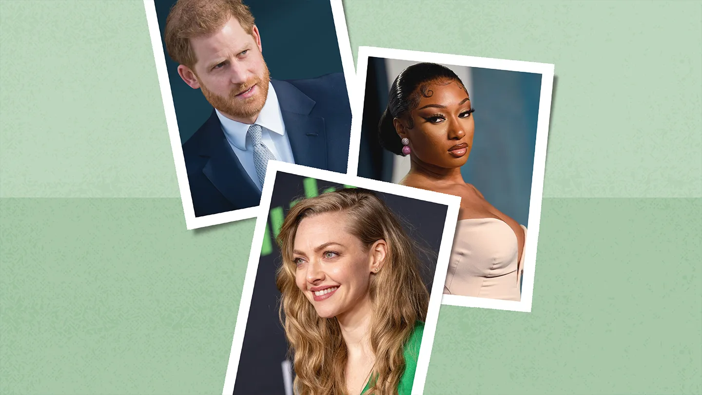 prince harry, megan thee stallion, amanda seyfried