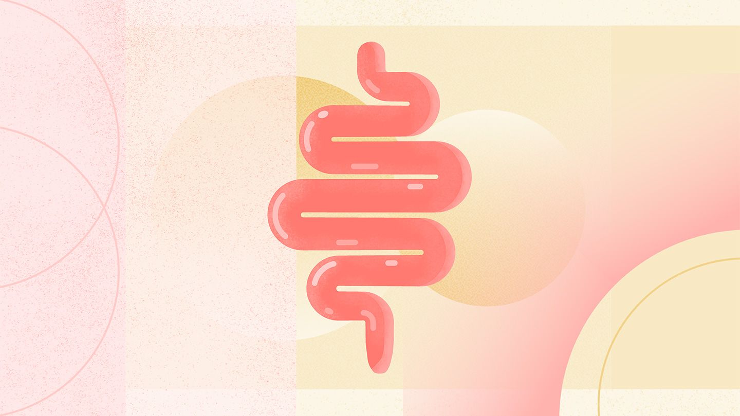 simple digestive intestines shape with geometric and organic circles and shapes behind