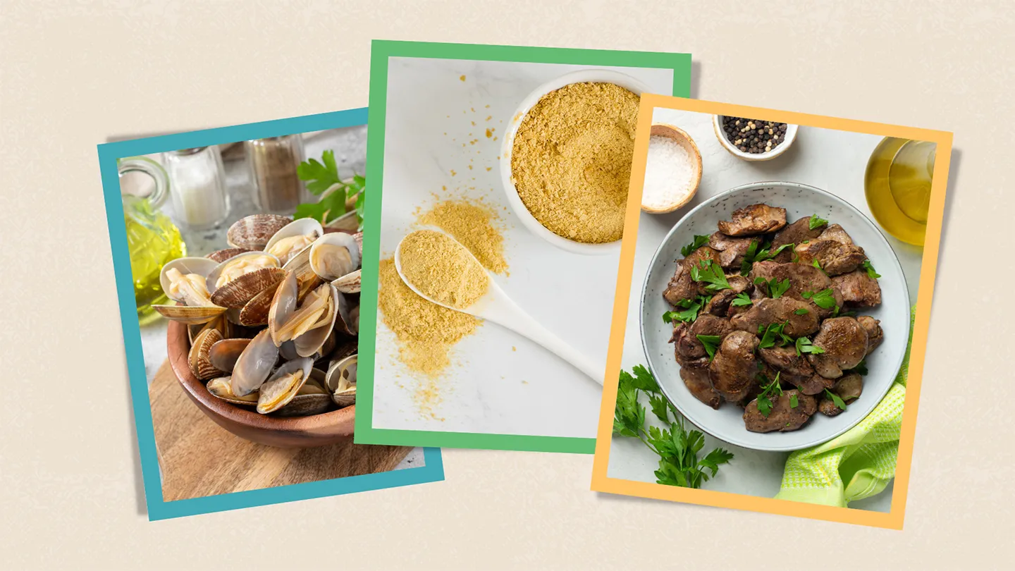 foods high in b12