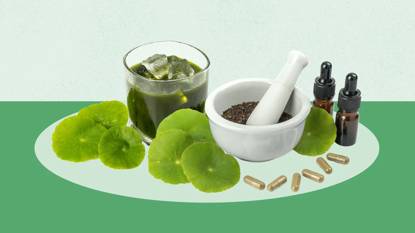 gotu kola leaves, seeds, tinctures