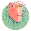 Heart Health
