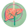 Hepatitis C