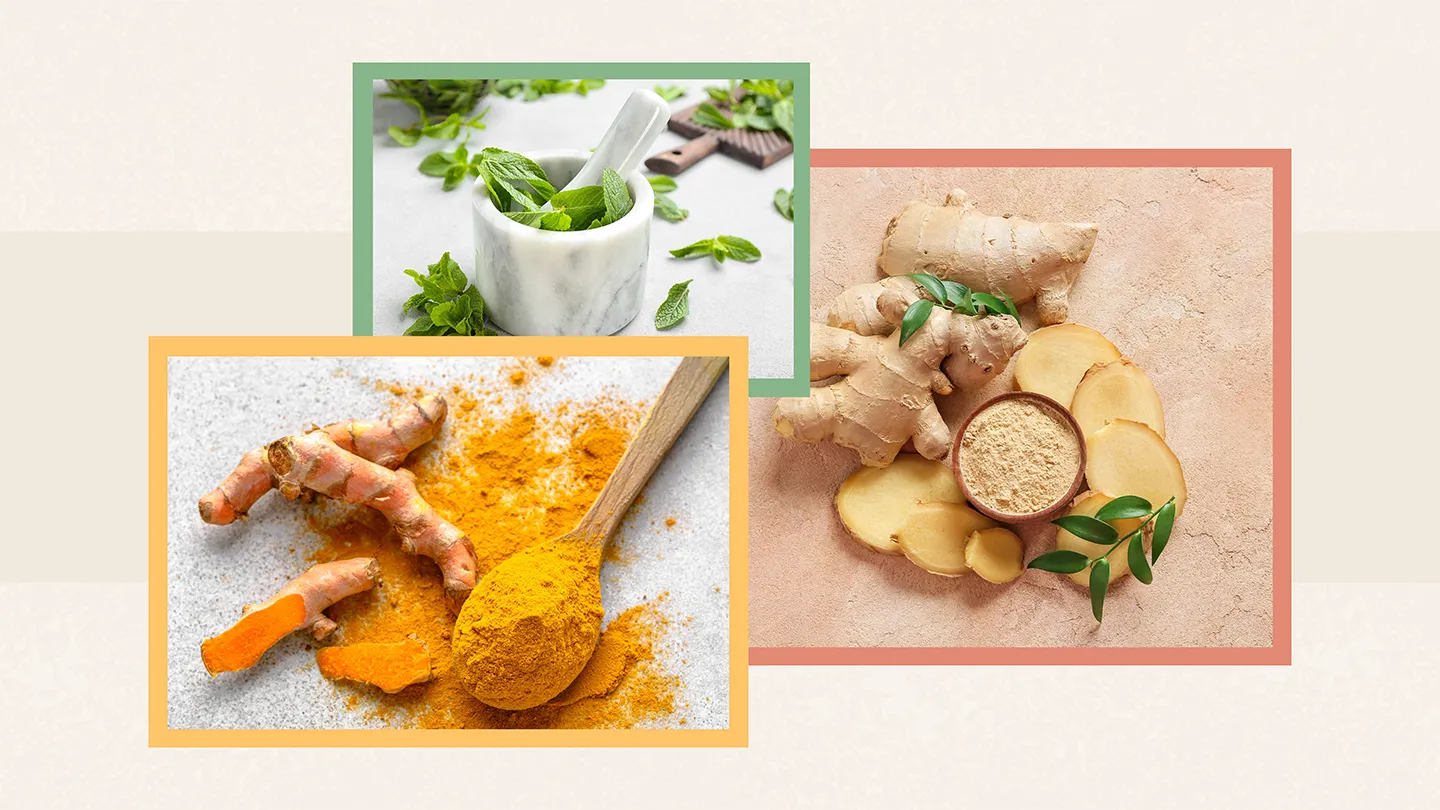herbs and spices
