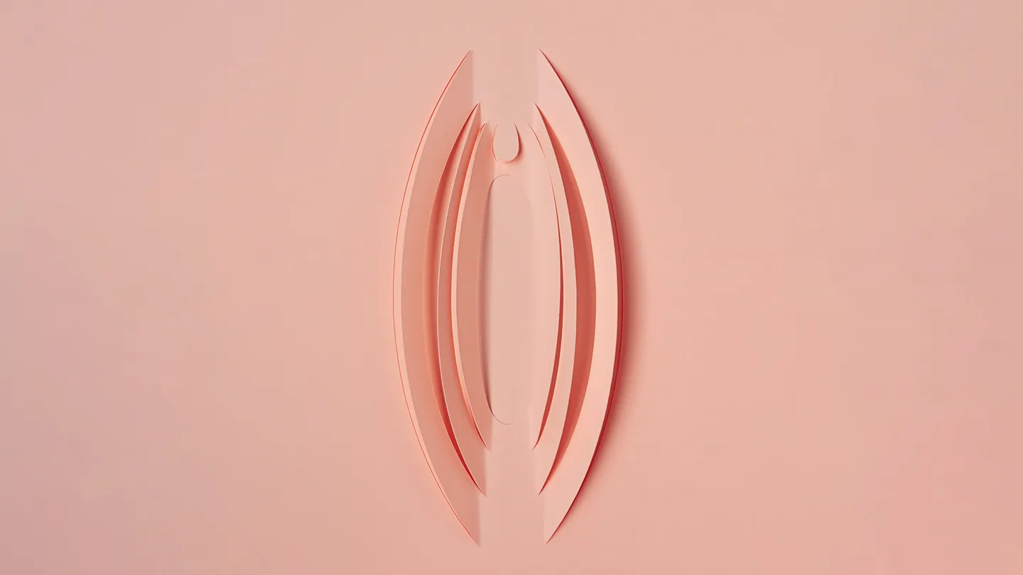 paper cutout vagina