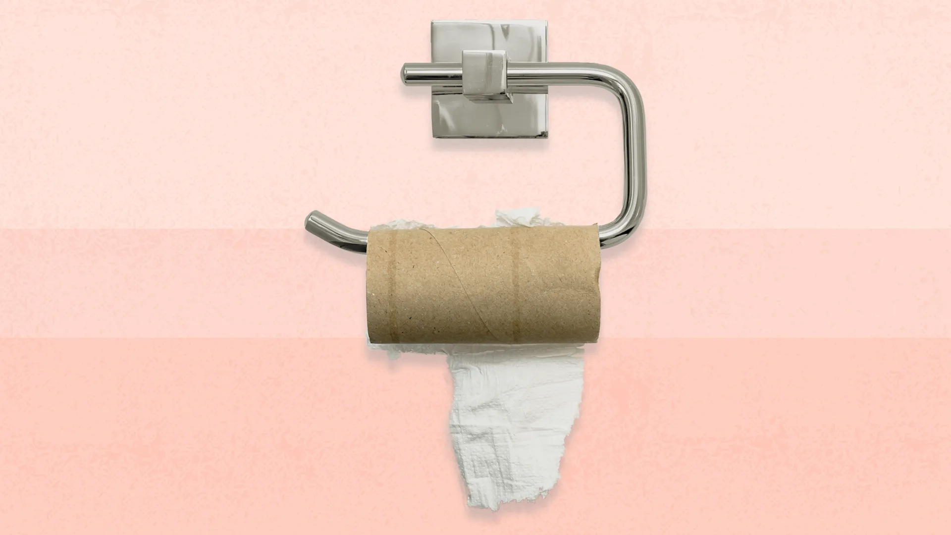 empty toilet paper roll