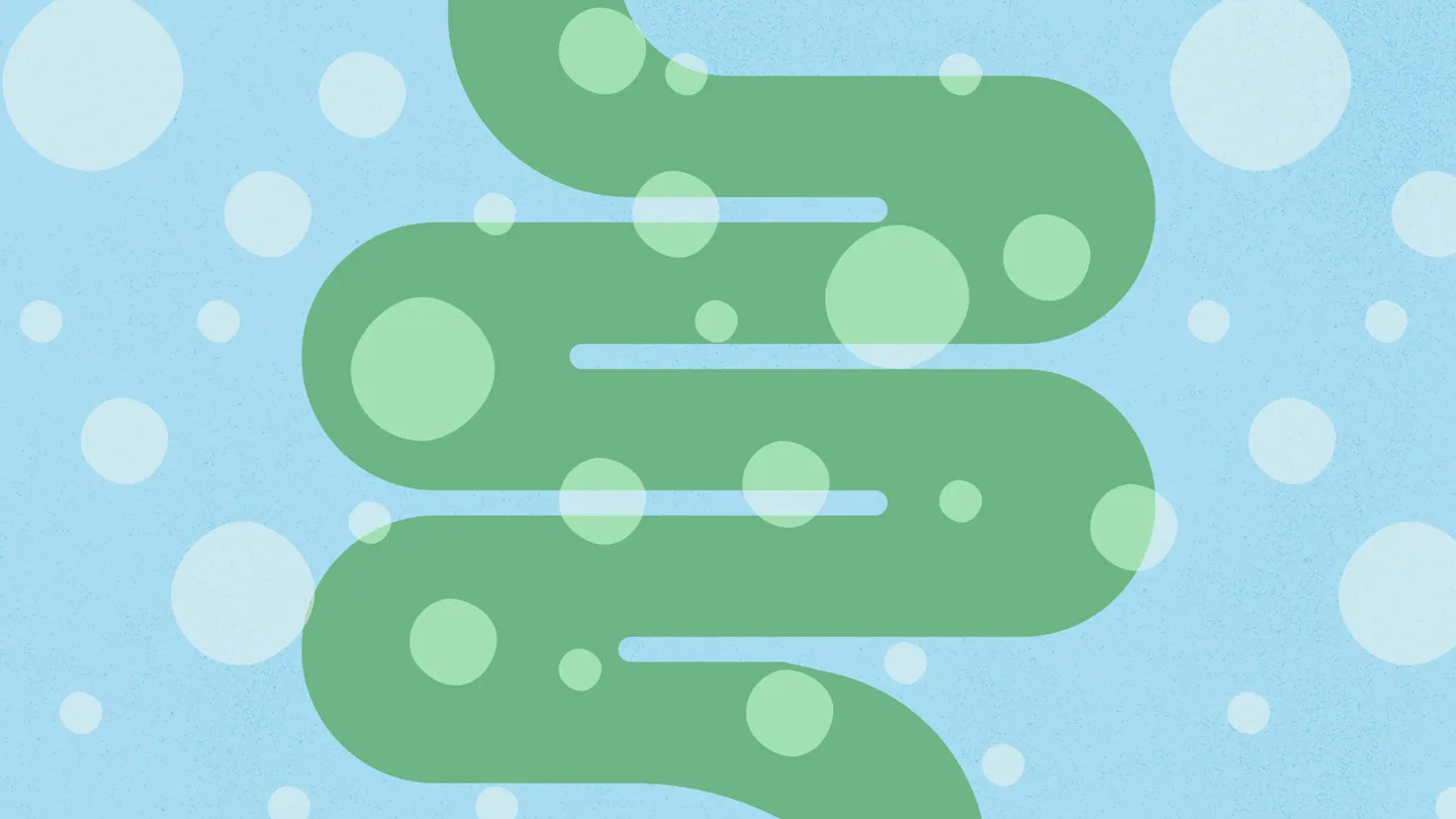intestines with bubbles surrounding them illustration concept of leaky gut