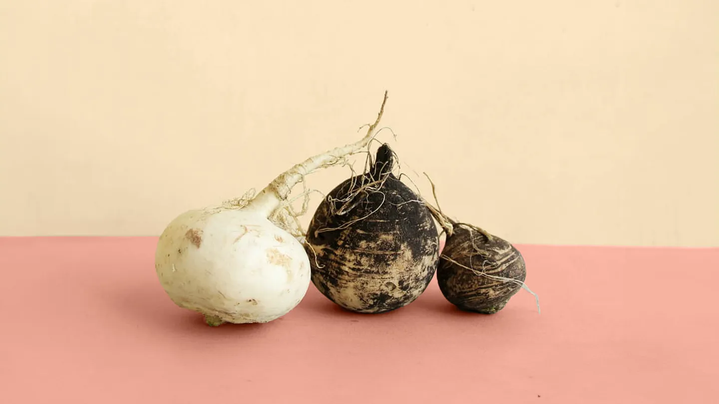jicama on colorful background