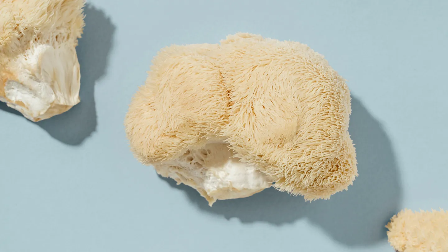 lions mane mushrooms