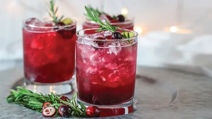 Sparkling Cranberry Kombucha Mocktail