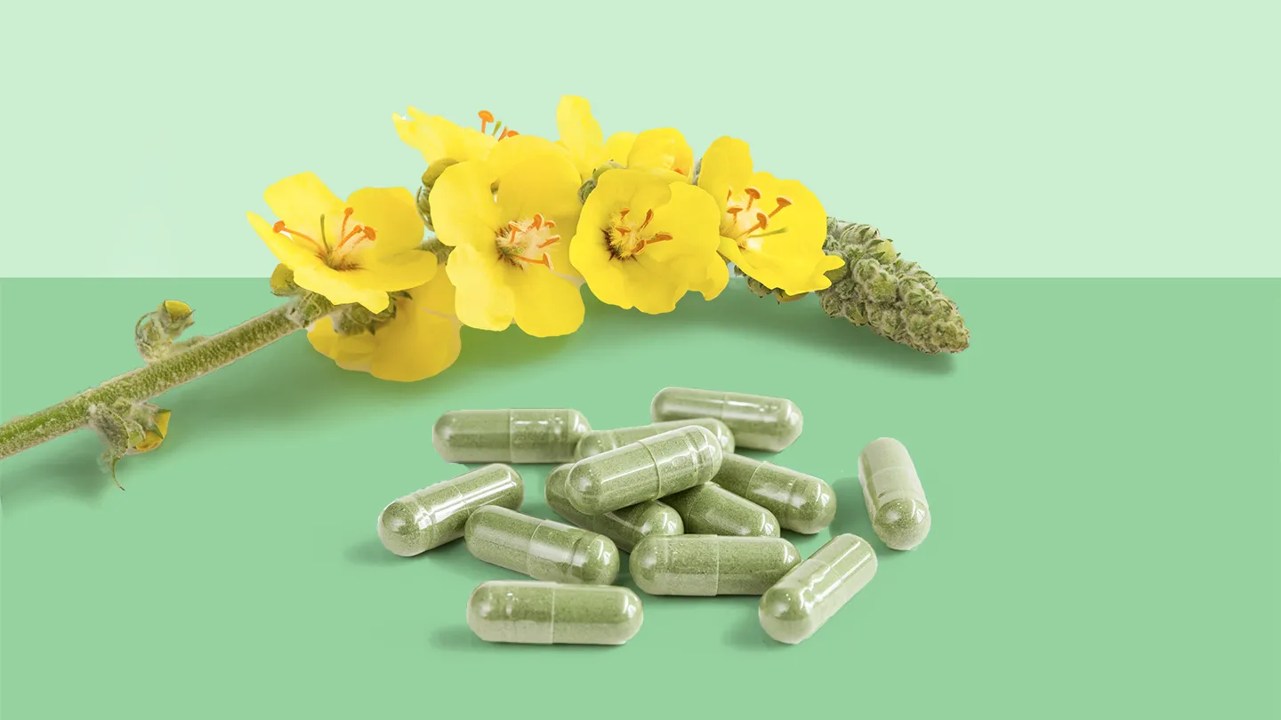Mullein-Leaf flower and supplements