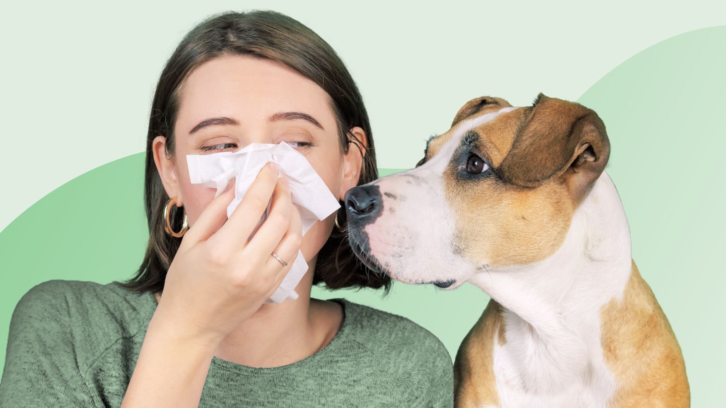 woman blowing her nose allergic to her pet dog