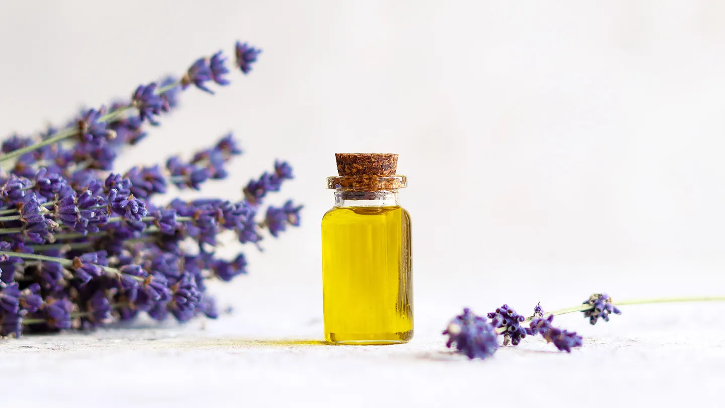 Natural-insomnia-aids-Lavender