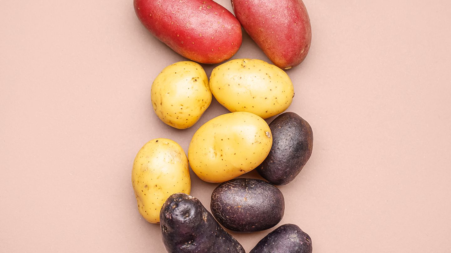 potato varieties