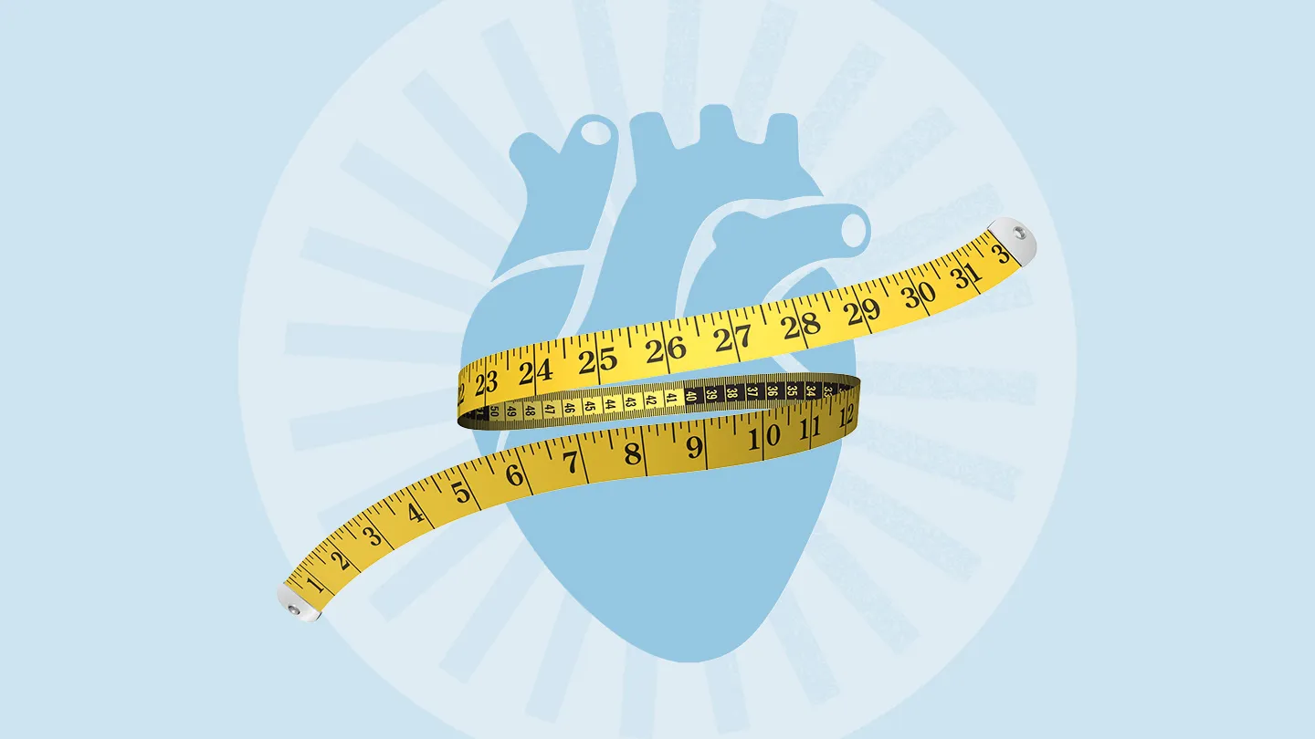 anatomical heart and measuring tape