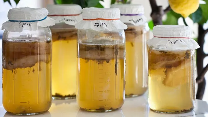 kombucha