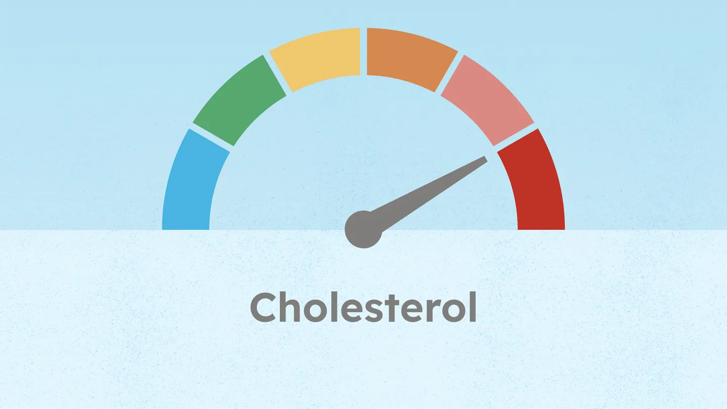 high cholesterol meter