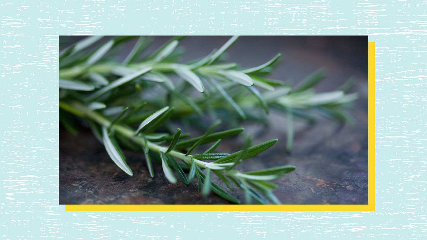 rosemary
