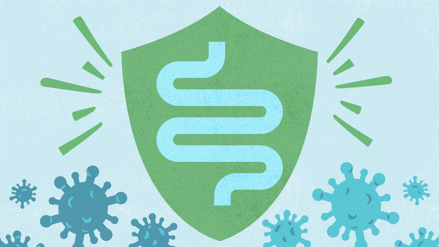 illustration of a gut inside a shield protecing against flu virus