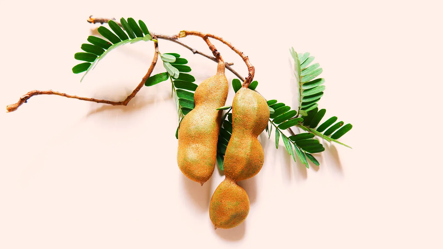Tamarind plant spice