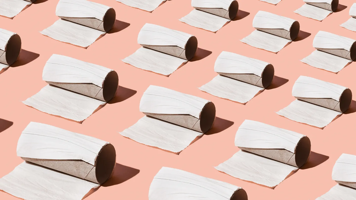 rolls of empty tilet paper all in a pattern