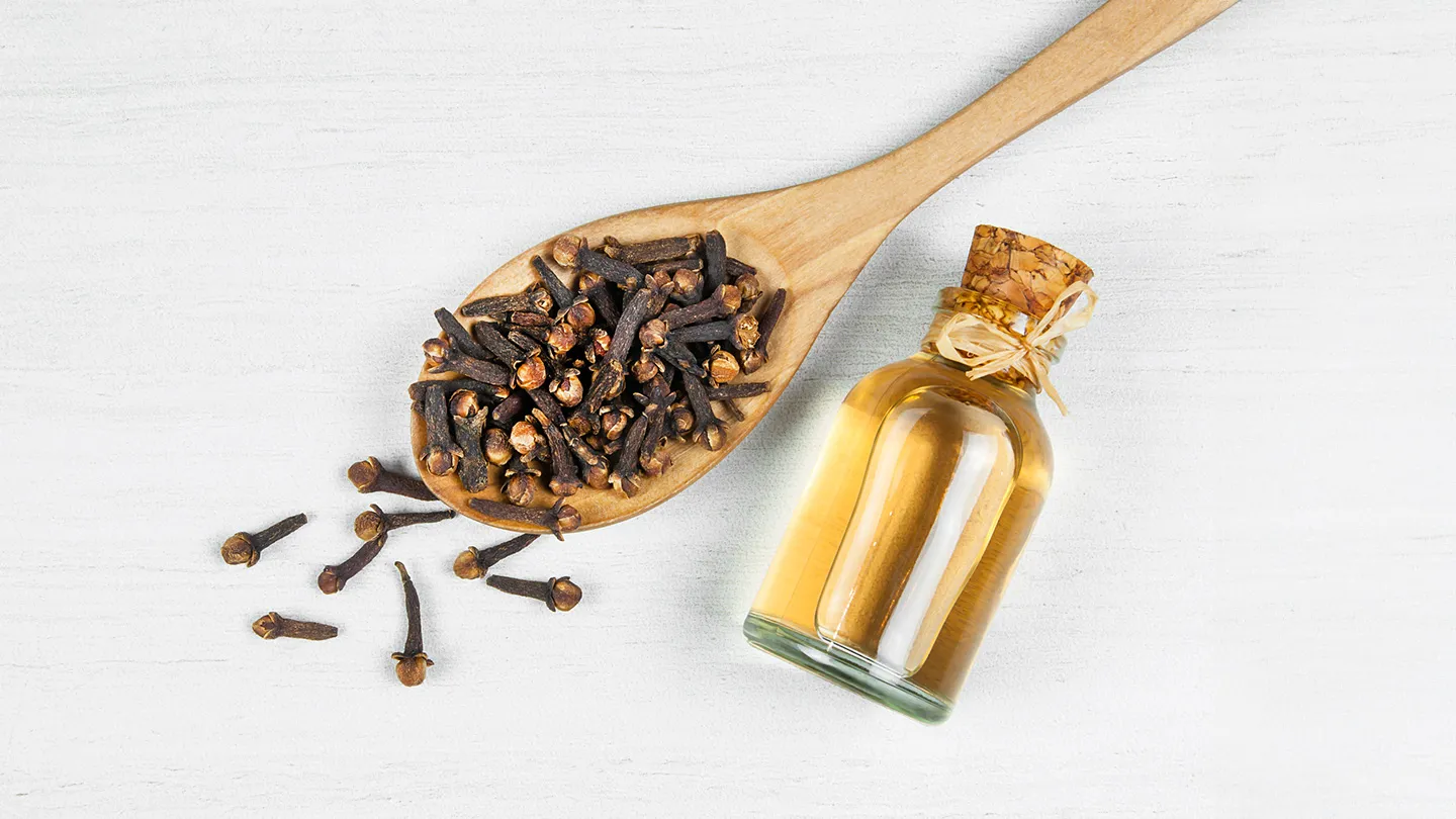 cloves and clove oil