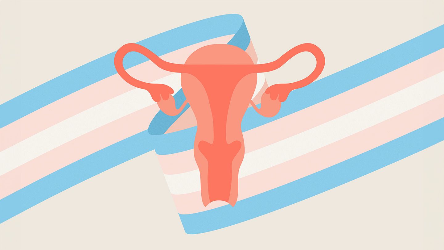 trans flag ribbon behind uterus