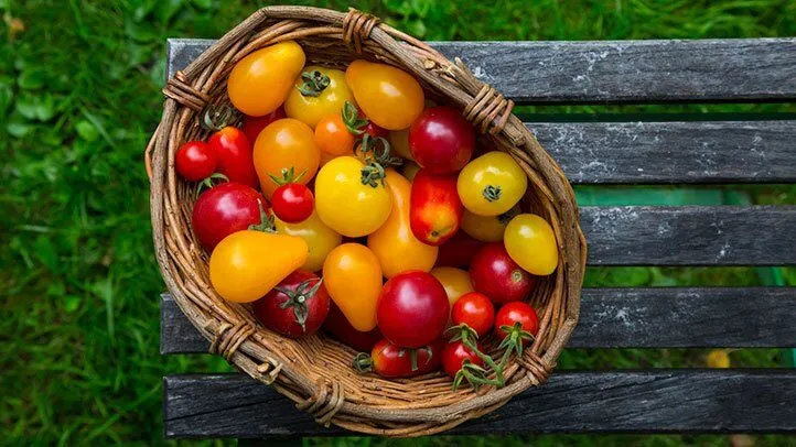 a basket of various tomatoes