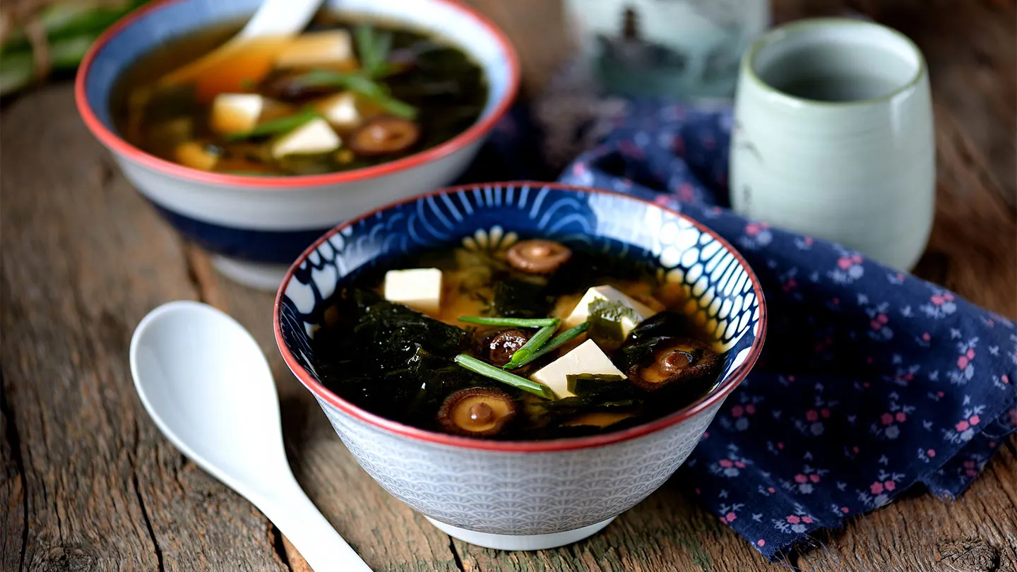 soup with probiotics