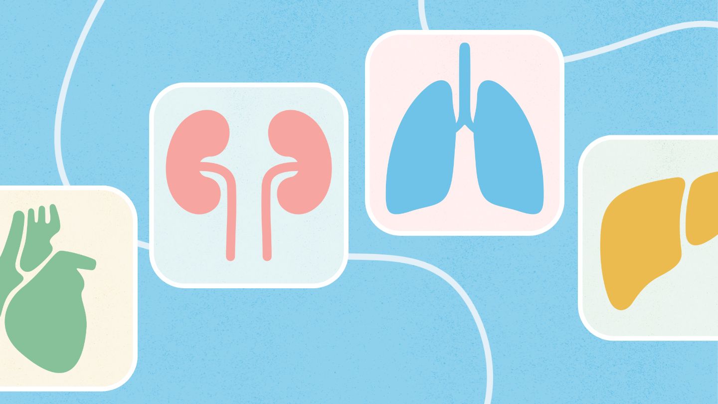 icons showing human organs - heart, kidneys, lungs, liver