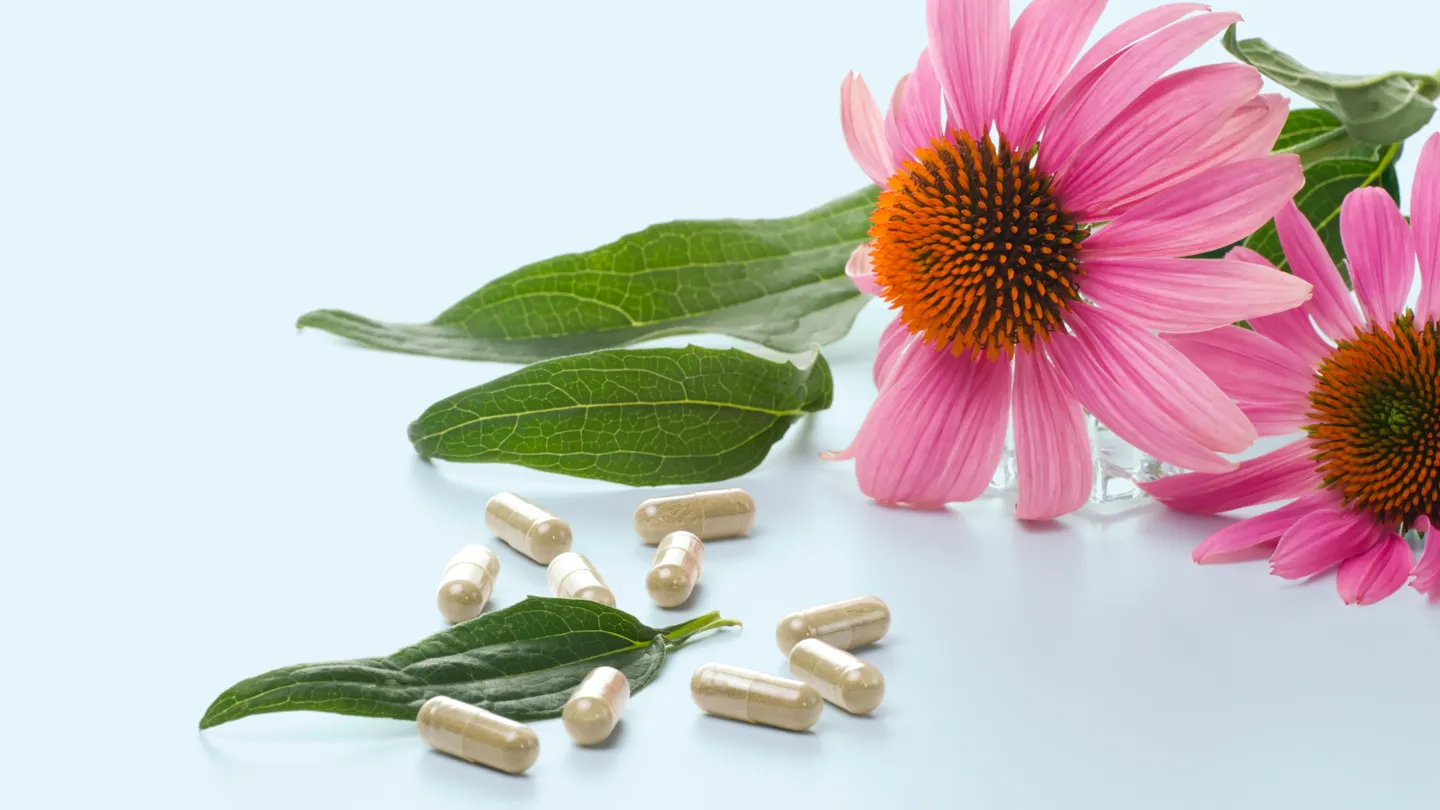 echinacea flowers and capsule supplements